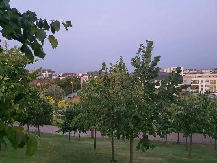 Apartament cu 3 camere decomandat în Theodor Pallady