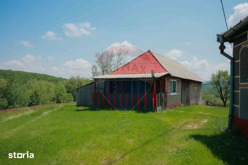 Casă cu 5 camere cu Teren 55706 Mp în Șinteu