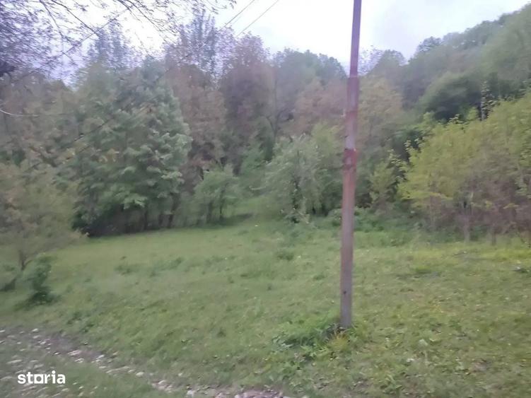 Teren intravilan | Provita de Sus | Breaza | PRAHOVA - 4