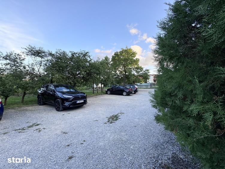 Casă cu Teren 6000 Mp în Nufăru