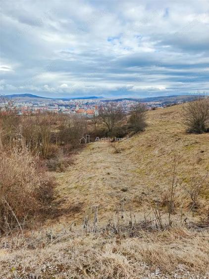 Teren de 24381 mp, în Central