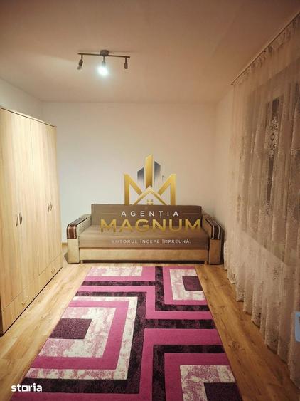 Apartament cu 2 camere semidecomandat în Săsar