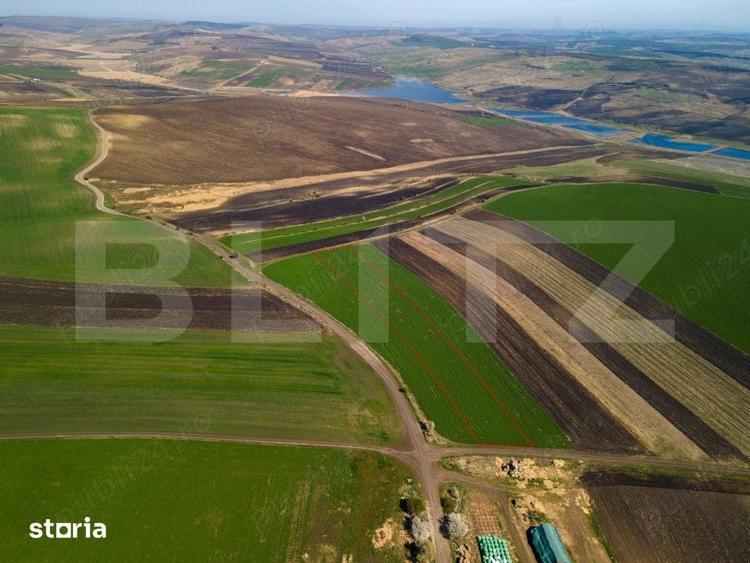 Teren de vanzare, 8.000 mp, zona Copaceni - 3