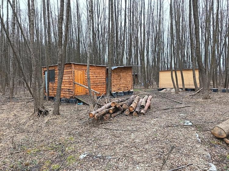 Teren de 100000 mp, în Valea Nenii