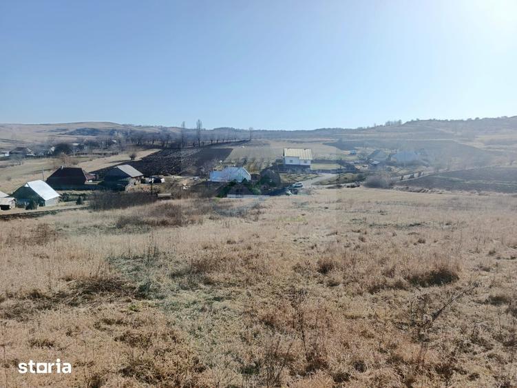 Teren de 8821 mp, în Răucești