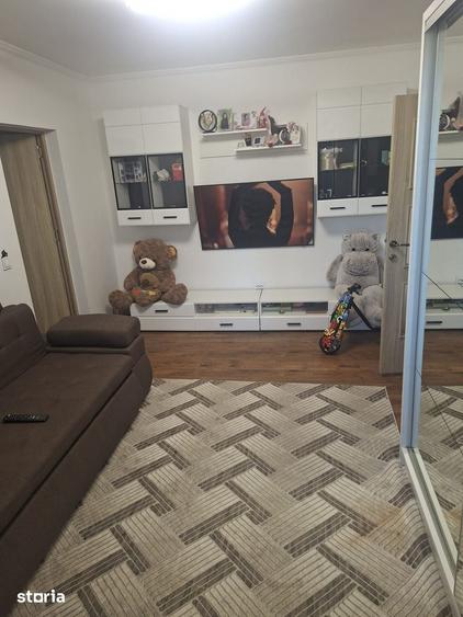 Apartament 3 camere Craiovei - 5