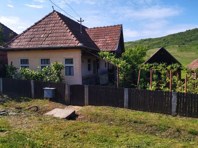 Casa de vanzare in satul Moisa - 1