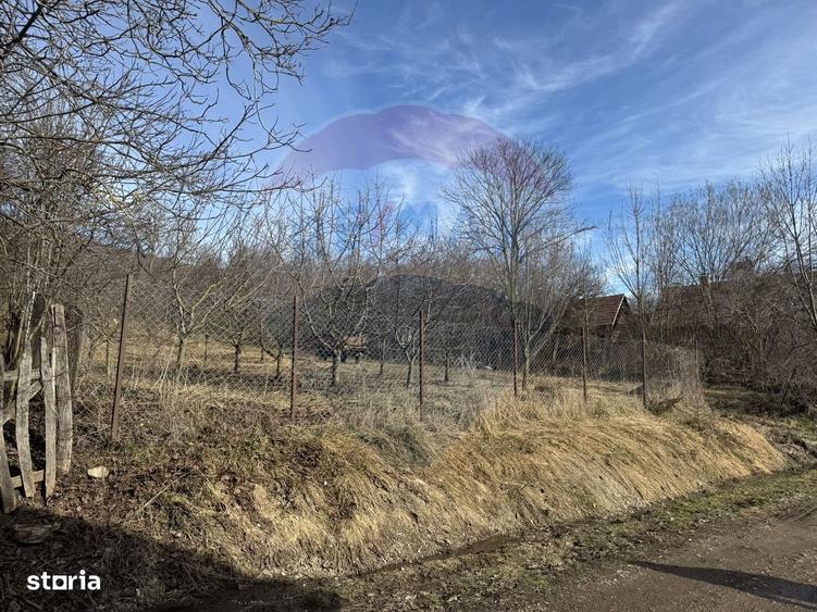 Teren intravilan 1.271 mp Izvoarele, jud. Alba - 2