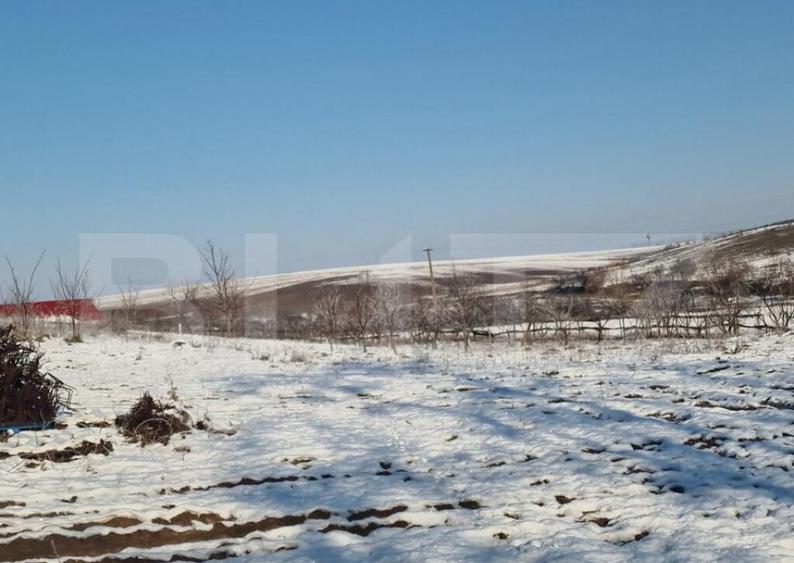 Teren intravilan 7.9 ha. Sandra - 23