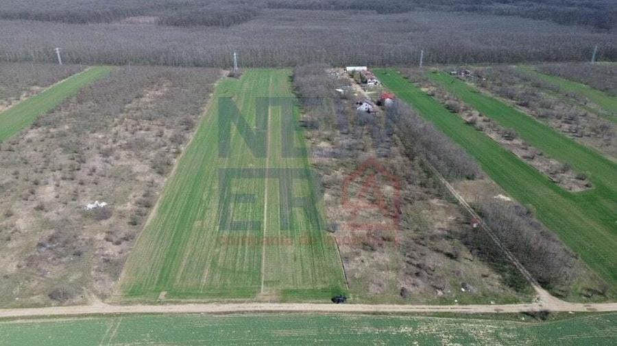 Teren de vanzare, Sabareni - 4