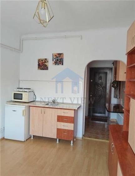 Garsoniera, Horea - 5