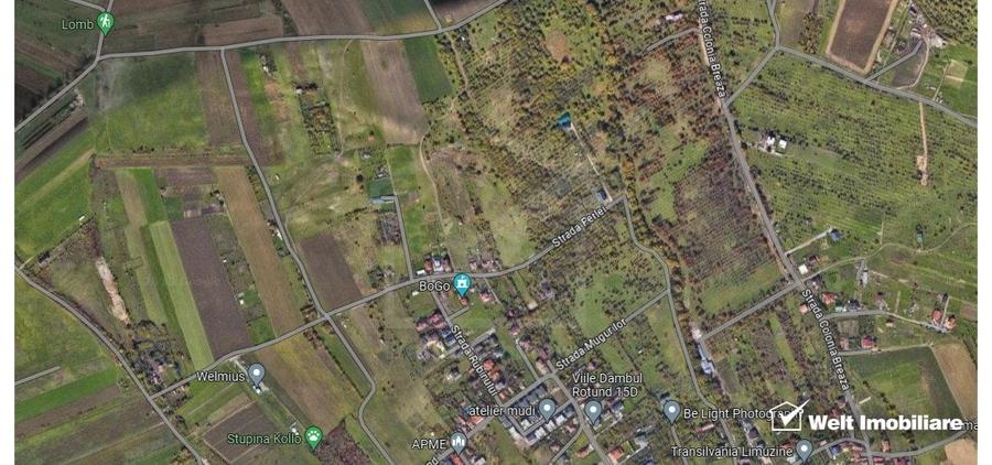 Teren Dambu Rotund 4750 mp, intravilan, UTR TDA_L, posibilitate investitie - 1