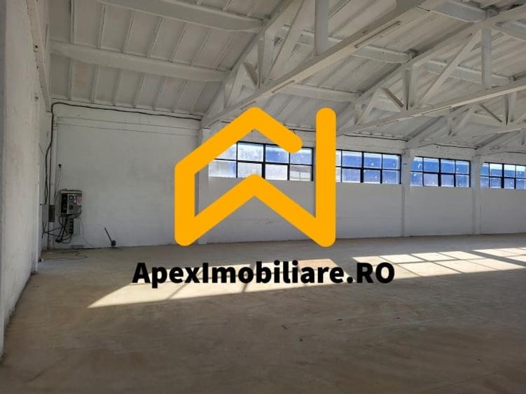Hala Industriala Xenia – 1800 mp, Acces TIR, Parcare 50 Auto - 8