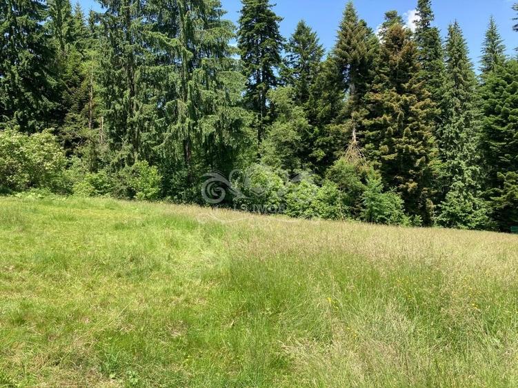 Vand teren intravilan Predeal, Timisul de Sus ideal obiective turistice - 1