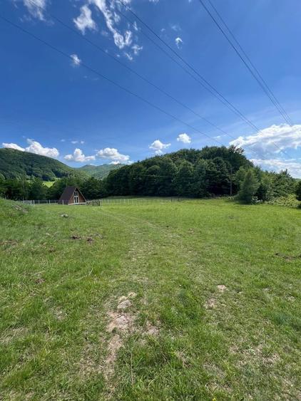 Teren Galaoaia - de vanzare - 7