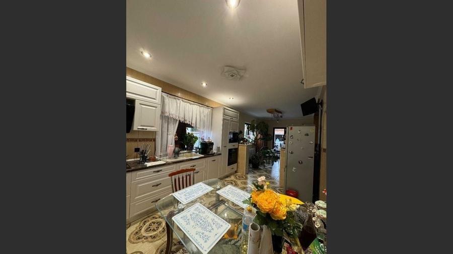 House for sale, 6 Rooms, 242 sqm, 800 sqm, Vetiș - 8