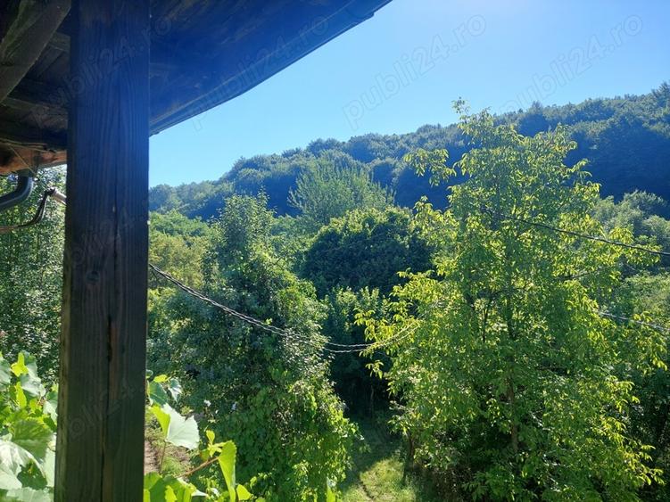 Vand vila jud Prahova com Drajna de Sus - 1