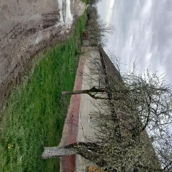 Casa si gradina de vanzare in Hitias la strada principala - 2