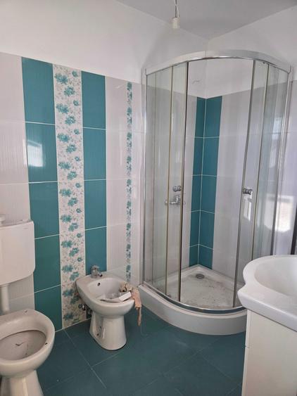 vanzare casa cu hala - Matei Millo Voluntari - 1