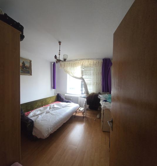 Colentina - Teiul Doamnei - 5