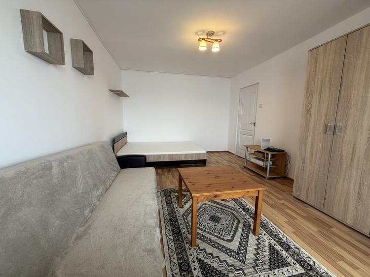 Apartament spatios, o camera, 31 mp utili + balcon - Buziasului - 2