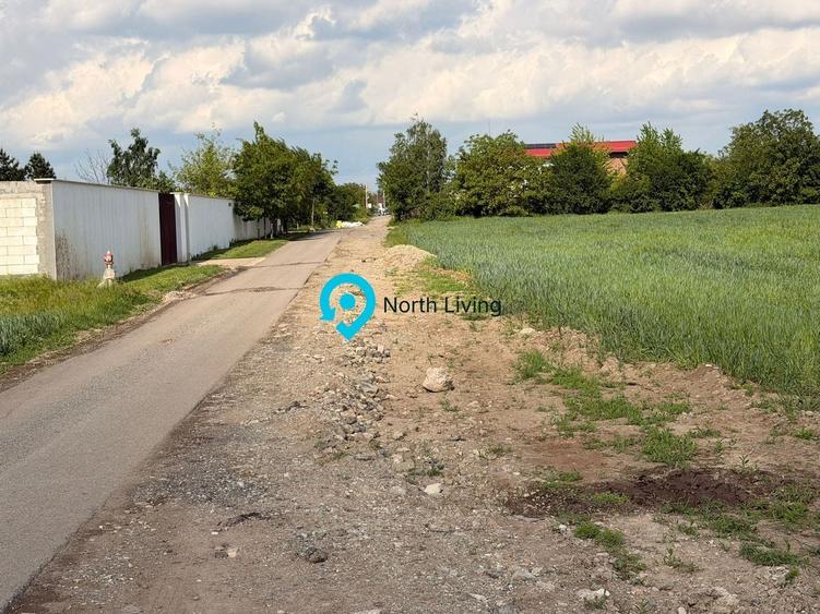 Teren Snagov - Cioflinceni | Drum amenajat | Aproape de Padure si Lac - 7