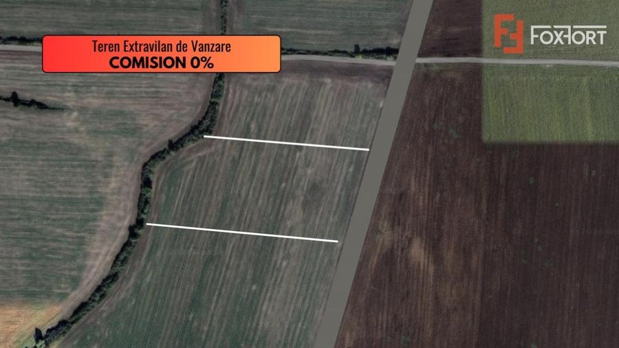 COMISION 0% Teren extravilan de vanzare in Sacalaz - 2