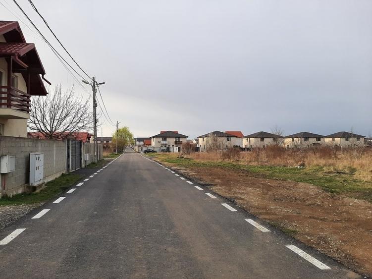 Domnesti, strada Radului - Mimozei, 1068mp - 4