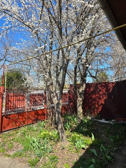 Casa de vanzare plus teren Damaroaia - 3