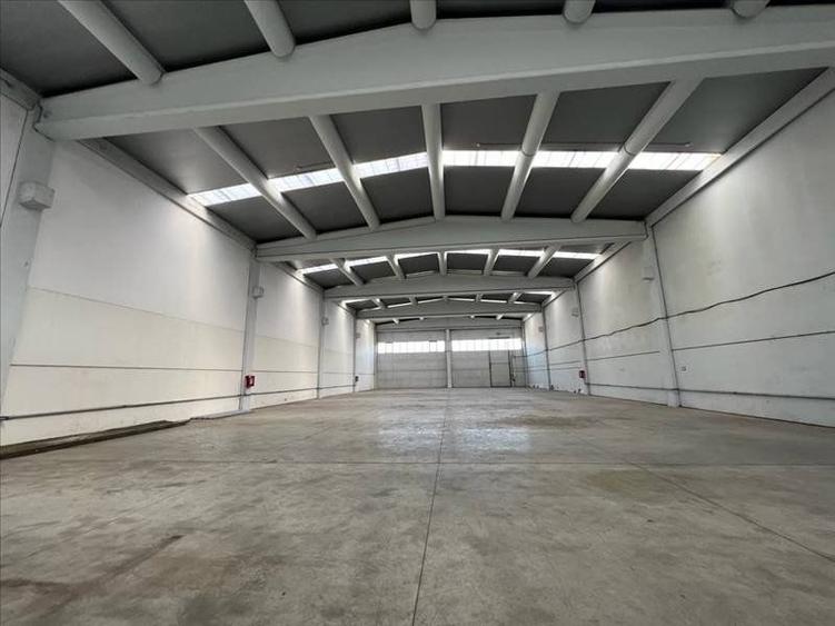 Hala de vanzare in Calea Sagului - platforma Incontro - 10