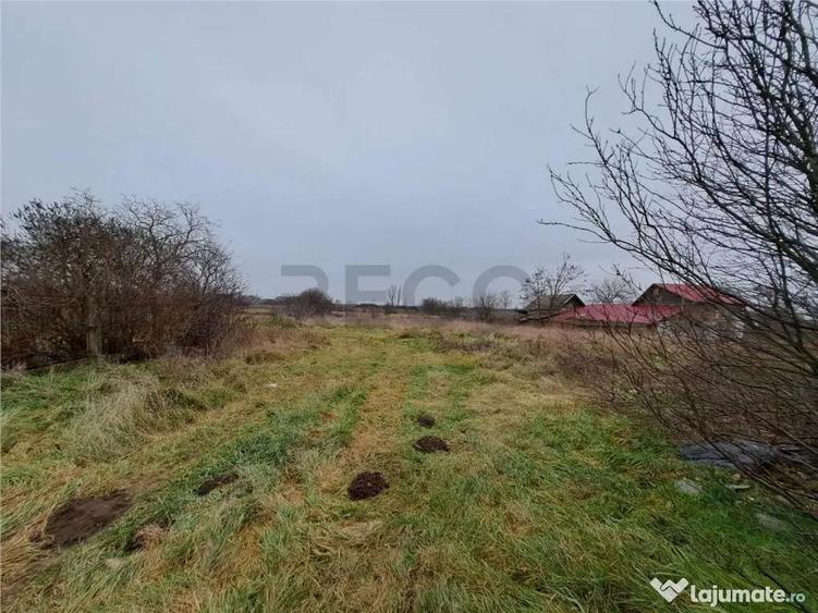 RECO Moara veche Ciumeghiu - 3