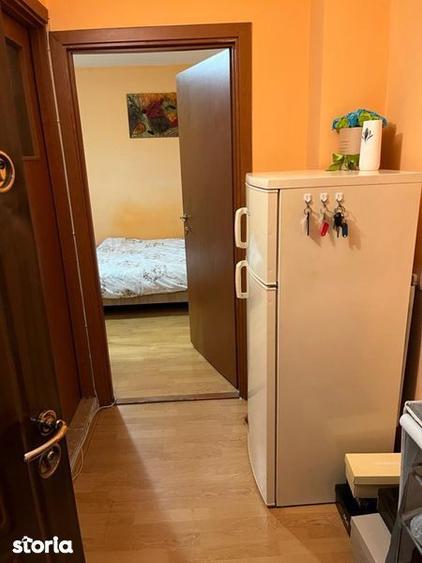 Garsoniera Lapus Arges (zona frigorifer ) - 3