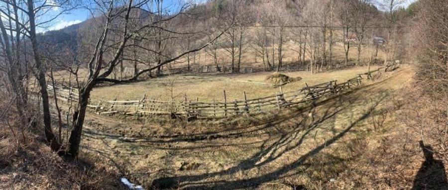 Teren Nehoiu, pentru cabană offgrid sau glamping - 3