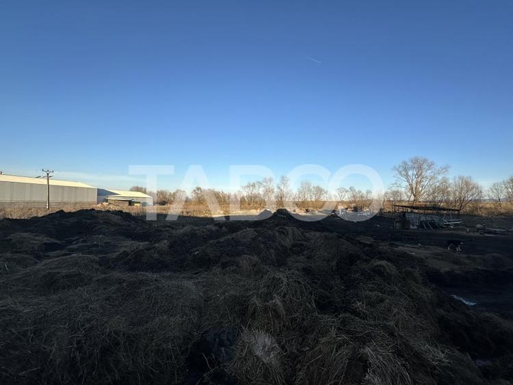 Vanzare hala Industriala cu teren intravilan de 650 mp in Ileni - 2