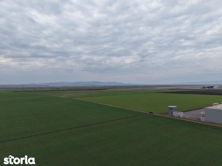 Teren de vanzare 20.000mp Ghimbav, langa Parcul Industrial - 10