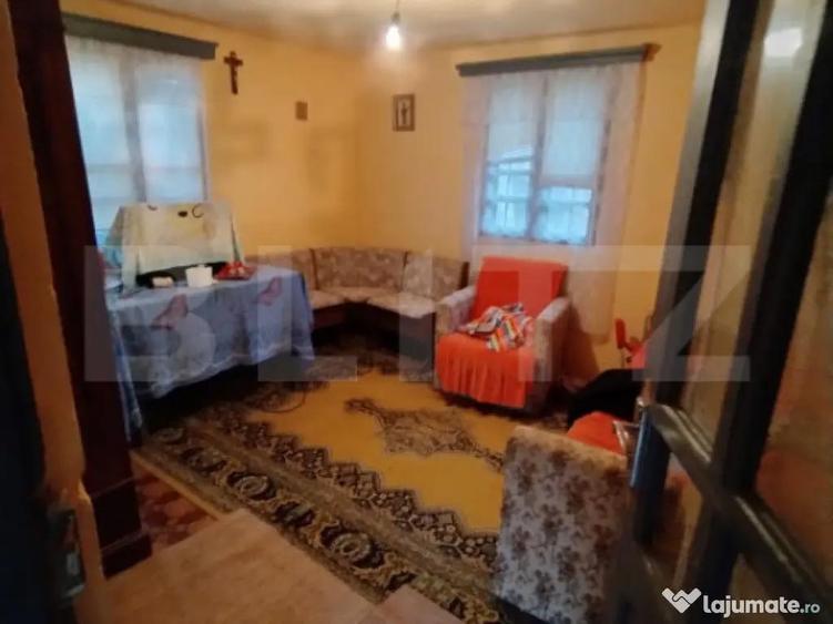 Casa de vanzare 800 mp curte, 32 mp utili, Bratovoe?ti - 10