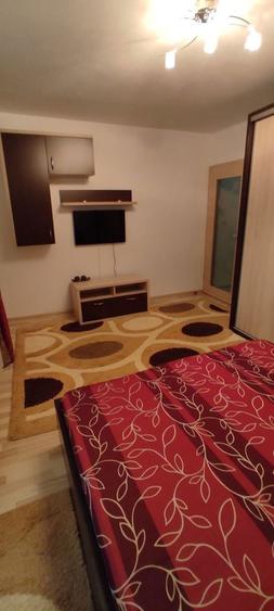 De inchiriat apartament cu 1 camera 240 euro - 6