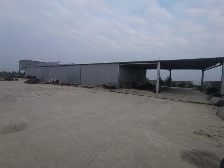 Hala Padureni 300 mp - 7