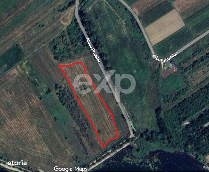 Teren Budeasa cu iesire la lac - 3