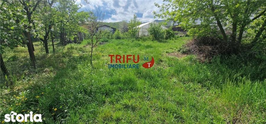 Teren de vanzare zona Micesti - 4