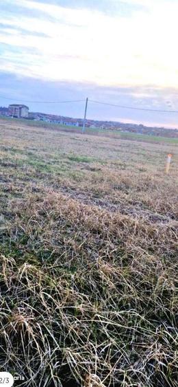 Teren intravilan Paleu cu PUZ si PUD aprobat - 1