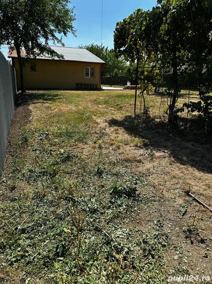 Propietar vand Casa Vadu Anei Branesti 1480 m2 , Gaze , Curent , Put , fosa centrala - 5