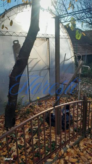 Casa 3 camere 120 mp front la 2 strazi cu gradina 583 mp zona Avram Ia - 1