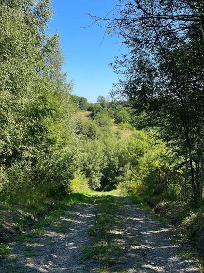 Teren de vanzare - Casele Micesti, comuna Feleacu, Cluj - 6