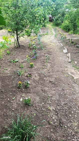 Casa in zona de deal la Zarnesti, la 20 km de Buzau, teren 1535 mp - 12