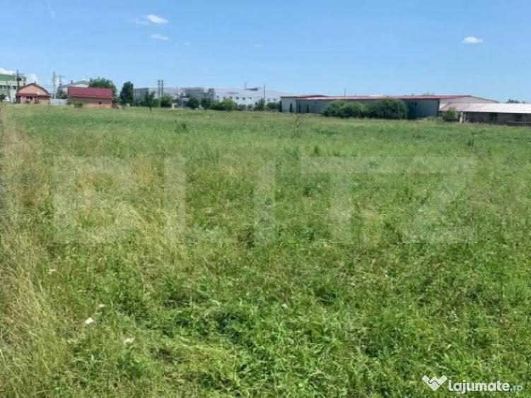 Teren Extravilan de Vanzare 40 Ari Strada Spicului - 2