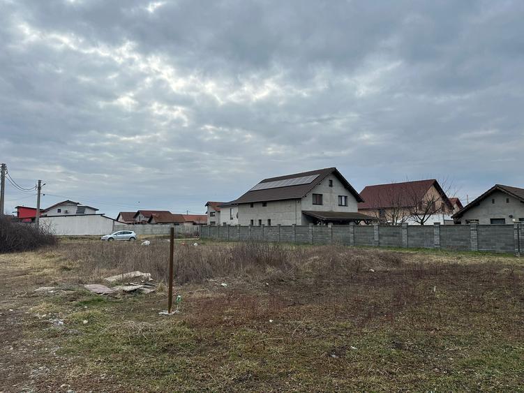 Teren intravilan 842 mp - Sacalaz - 4