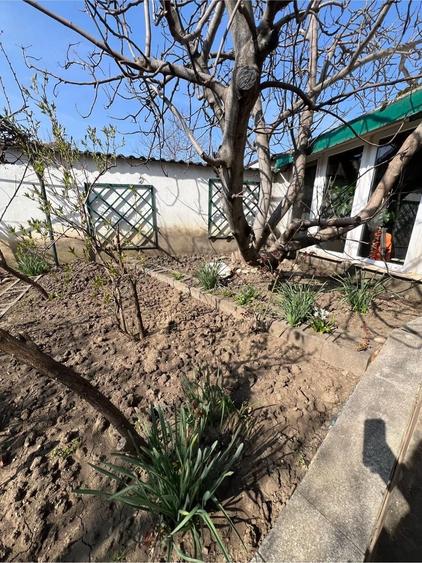 vand casa zona centrala - 6