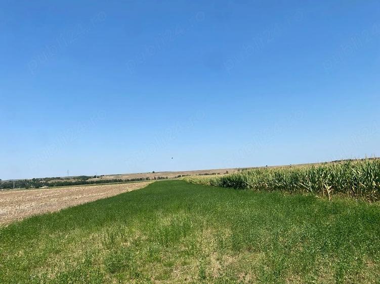 Teren de 36000 mp, în Dumbrava