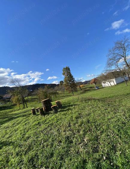 Vand casa si teren 10000mp - 4